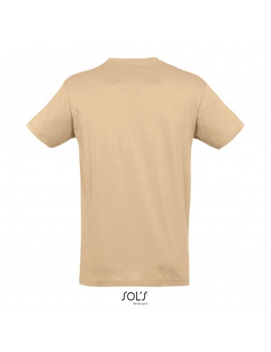 Sol's Regent - 11380