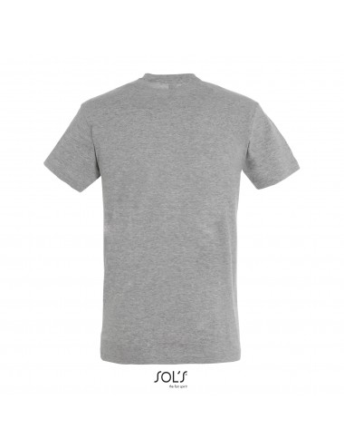 Sol's Regent - 11380